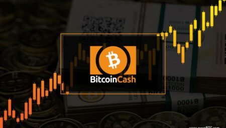 29-Bitcoin Cash BCH Analiz, Geleceği ve Yorumlar